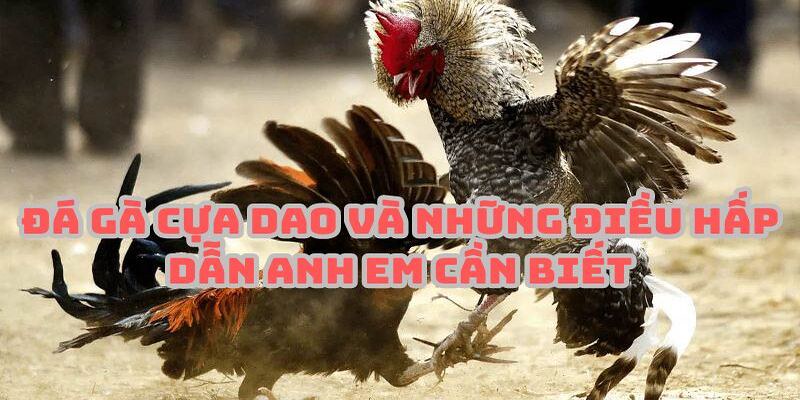 Tham gia đá gà cựa dao tại mang đến nhiều ưu điểm